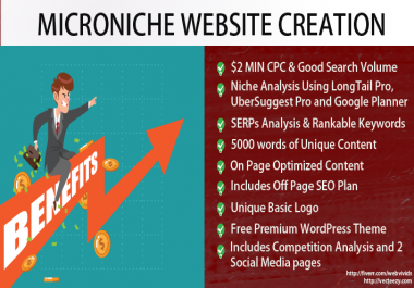 Build Your Micro Niche WebSite