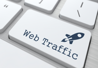 Daily 1000+ traffic to your website for 1 month