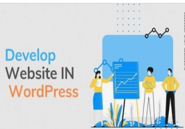 customize and develop a responsive wordpress website