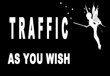 30 days Organic Targeted GEO human real Traffic visits hits, as you wish