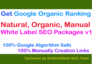 White Label SEO Packages v1 Google Organic Ranking