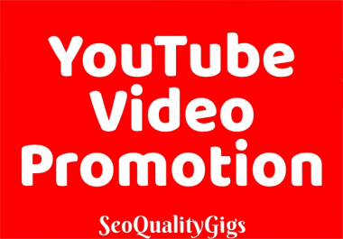 Provide Organic & High Quality You-tube VIdeo Promotion