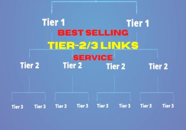 Tier-2/3 Links Solution 10000 BackLinks 3k Unique Domains