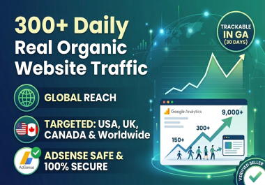 I will drive 300 high-quality, organic visitors daily to website for 30 days