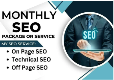 PREMIUM ONE MONTH SEO Package or Service for Website Ranking in Search