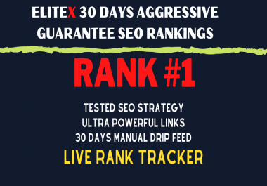 EliteX BLACK FRIDAY OFFER - 30 DAYS Aggressive Guarantee SEO Rankings 100K+ Links