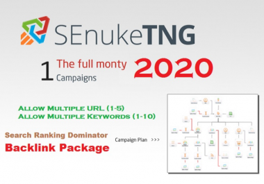 Create SEnuke Full Monty TNG Campaigns 2020