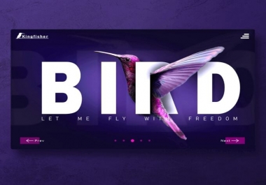 Create your landing page or custom web design