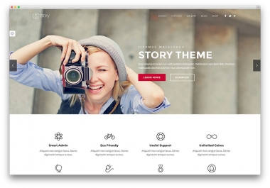 wordpress website design woocommerce,  magazine,  landing page and etc