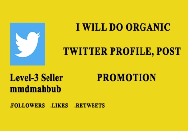 I will do organic social media profile,  post promotion