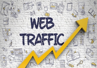 Get website traffic to your website for a month