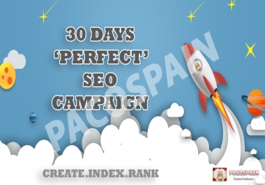 SEO Campaign For Your Website 30 days