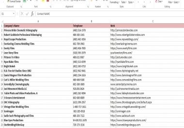 scrape, extract data from any website or directory yellow pages yelp others