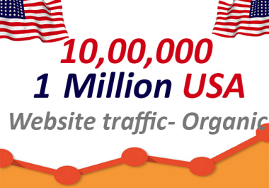 1 Million Organic USA Website Traffic to your website