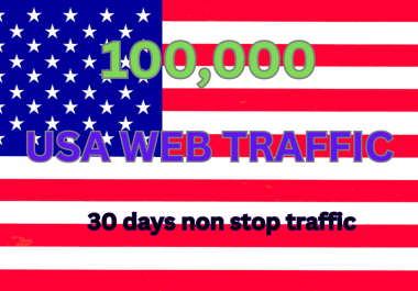 100,000 Organic USA Website Traffic from Search Engines