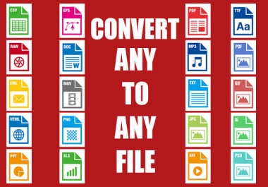 I will convert any file,  video or audio to mp3,  mp4 and any format