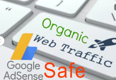 2.5K Website Traffic Real Human Website Traffic Safe For Adsense,  100 UNIQUE