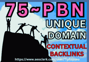 Get 75 PBN Backlinks from DA 50+ Unique Domains