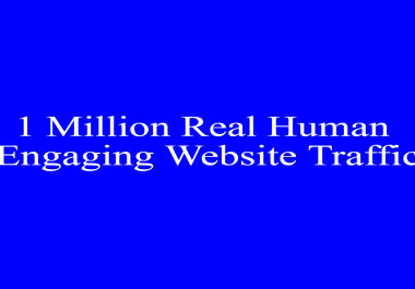 I Will Give 1 Million Real Human Website Traffic