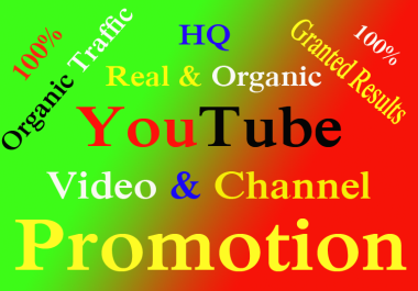 I will BOOST YOUTUBE VIDEO & CHANEL Via ORGANIC AUDIENCE