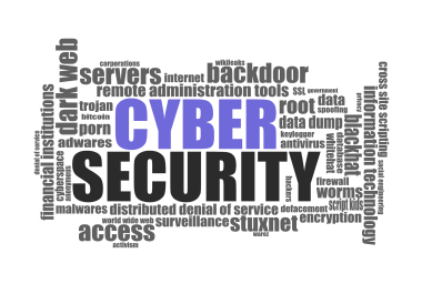 cyber security related project Vulnerability Assessment