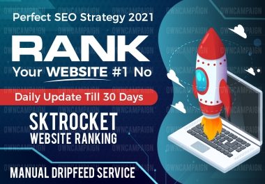 Rank Your Website On Google,  30 Days Drip-Feed SEO Backlinks Package