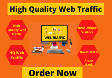 High quality Web traffic - Real visitors to your website