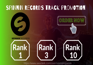 Guaranteed Top ten Track Rank Your Spinnin Records Talent Pool votes by real traffic