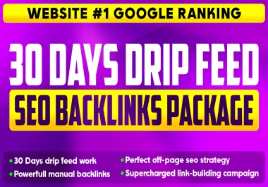 Monthly Seo Package -30 Days Drip Feed - GOOGLE RANKING 1