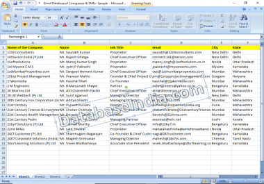 I will provide indian email database of companies and smes