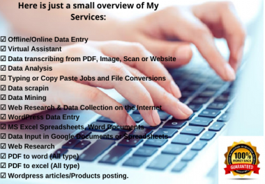 I will do Fast and Accurate Online,  Offline Data Entry Jobs