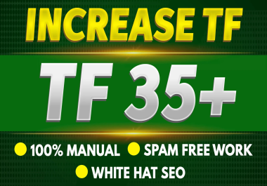 I will Increase Your website Majestic TF to 30 plus