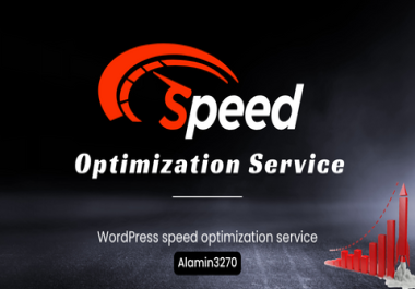 Premium WordPress speed optimization service