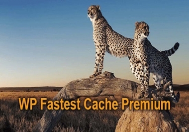 I will install WP fastest cache premium plugin to optimize WordPress website speed