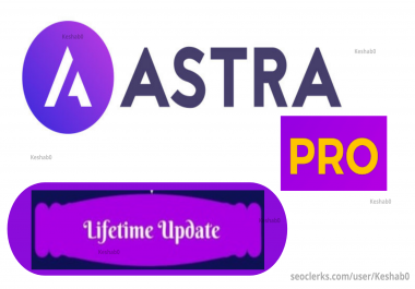 Install and activate astra pro agency bundle on your website