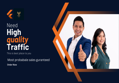 I will drive premium high quality traffic to your website