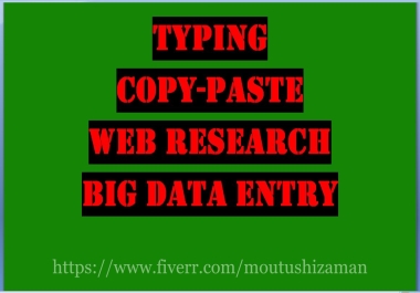 Data Entry,  Copy Paste,  And Typing