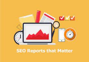 I will create a Professional SEO Audit Report