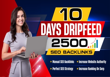 Boost Your Website Rankings On Google,  10-Days Dripfeed 2,500 SEO Backlinks