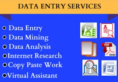 I can do any types of Data Entry.