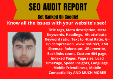 I will provide seo audit report in 1 day