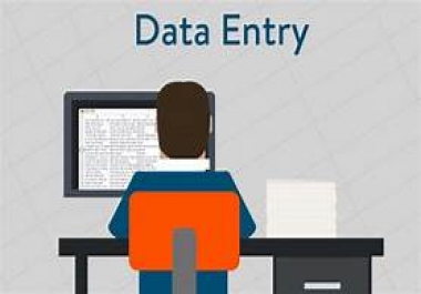 I can do any kind of data entry works