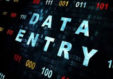 data entry Fast,  proficient and accurate