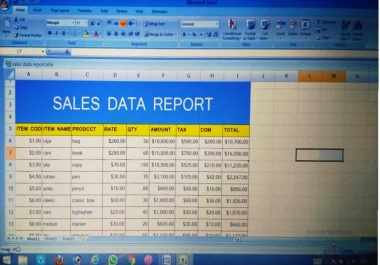 Expert in Data Entry and Web Research