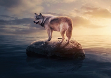 I can edit your photos and make it look awesome with Photoshop and Lightroom with simple charges.