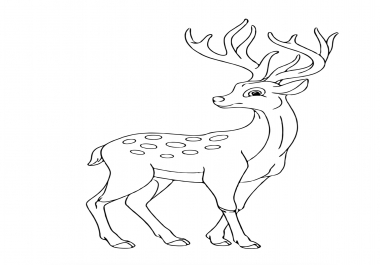 30 animal coloring pages for kids resell right