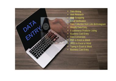 Quick delivery,  any forms of data entry and web search