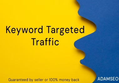 5000+ real keyword targeted google organic traffic only adamseo