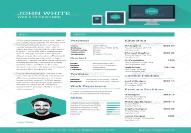 I will provide a professional resume writing service