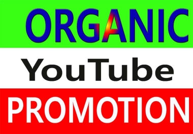 we will Do Fast You Tube video and chanel Promot by social media marketing